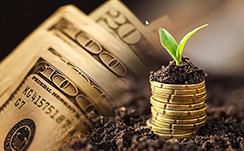 美联储降息后美元黄金美债齐跌 流动性操作重构市场逻辑